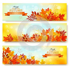 Set of three nature banners with colorful autumn leaves.