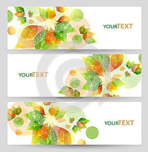 Set of three nature summer vector banners with floral elements.