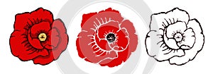 Set of three poppies flowers. Vector illustration isolated on a white background. template for Remembrance day in hand drawn style