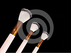 Set of Three Professional Makeup Brushes on Black Background