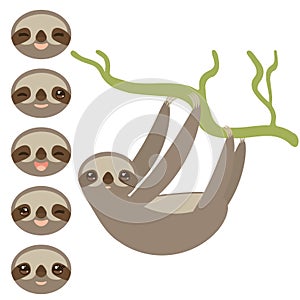 Set Three-toed sloths funny muzzle with different expression of emotions on white background. Vector