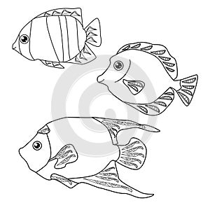 Set of three tropical fish with fantasy patterns on fins, coloring book for children about aquatic inhabitants, vector outline