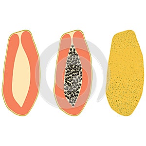Set of three types of papaya Ã¢â¬â half, with bones, in the skin. Vector illustration photo