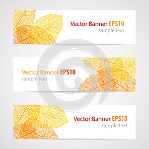 Set of three vector banners with autumn leaves.