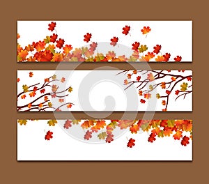 Set of three vector banners with colorful autumn leaves