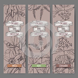 Set of three vector banners with mint, vanilla, cinnamon sketch. Culinary herbs collection.