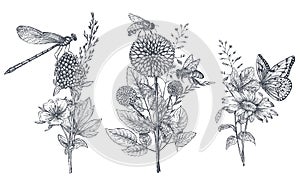 Set of three vector floral bouquets with black and white hand drawn herbs, wildflowers and insects