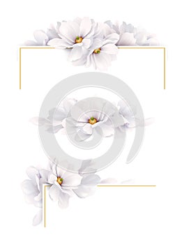 Set of three version of decoration invitation or congratulation cards with elegant flower composition. Blooming white