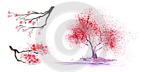 Set of thtree eelements. Abstract color-tree and branches with a magnificent crown. Hand-drawn watercolor illustration