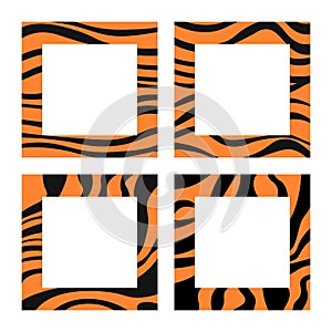 Set of tiger fur square frames. Stripes of wild animal symbol 2022. Borders design collection. Vector illustration