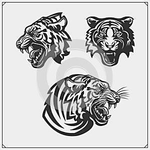 Chili pepper set. Pepper icons, emblems and design elements.Set of tiger heads.