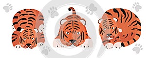 Set of Tigers. Stylized cute animals of different poses. Funny cartoon character