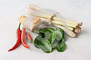 Set of Tom Yum soup main ingredients on light gray background