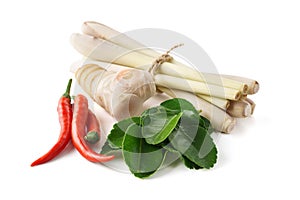 Set of Tom Yum soup main ingredients on white background