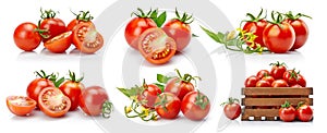 Set tomato in cut with green leaves