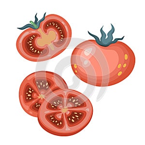 set of tomatoes. A whole tomato, cut into a tomato. Vector illustration in a flat style
