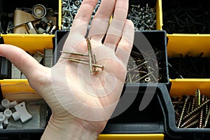 Set of tools in a plastic box, screws in hand.