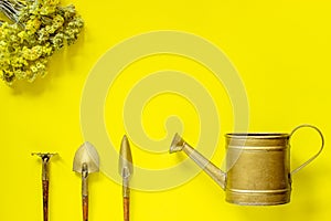 Set of tools to care for flowers on a yellow background. Flowers. Flat lay.