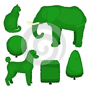 Set of topiary bushes of different shapes. Vector illustration of a elephant, poodle, cat, pyramid, sphere and cube topiary