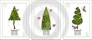 Set of topiary cards