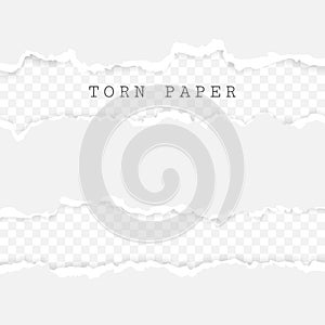 Set of torn paper stripes. Paper texture with damaged edge isolated on transparent background. Vector illustration