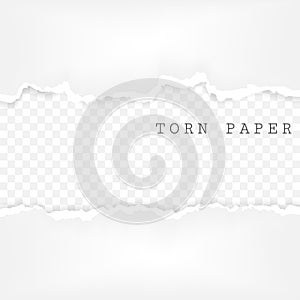 Set of torn paper stripes. Paper texture with damaged edge isolated on transparent background. Vector illustration