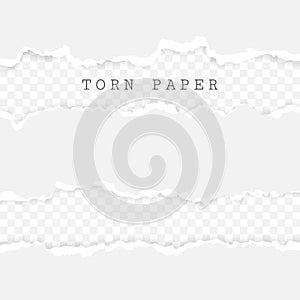 Set of torn paper stripes. Paper texture with damaged edge isolated on transparent background. Vector illustration photo