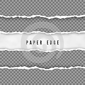 Set of torn paper stripes. Paper texture with damaged edge. Vector illustration isolated on transparent background