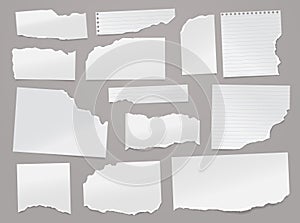 Set of torn white lined note, notebook paper pieces stuck on light grey background. Vector illustration