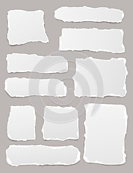 Set of torn white note, notebook paper pieces stuck on gray vertical background. Vector illustration