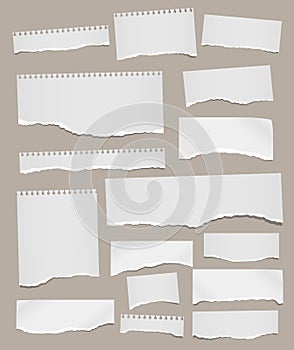 Set of torn white note, notebook paper pieces stuck on light brown background. Vector illustration