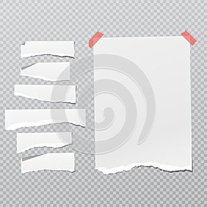 Set of torn white note, notebook paper strips and pieces with curled corners stuck on grey squared background. Vector