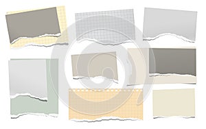 Set of torn yellow paper stripes and note, notebook sheet stuck on white background. Vector illustration