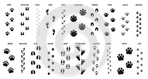 Set of trails for animals and birds with the name. ESP 10.