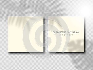 Set Transparent Shadows of Leaves. Decorative Design Elements for Collages.