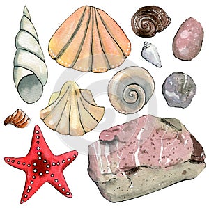 Set of travel  hand drawn watercolor elements with sea shells, starfish, stones.