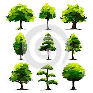 Set of Tree photo