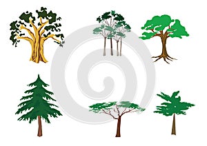Set of tree