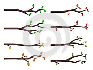 Set of tree branches in flat style