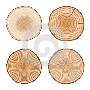 Set of tree cross sections. Wooden elements with tree rings.Isolated on white background.