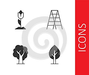 Set Tree, Flower tulip, and Wooden staircase icon. Vector