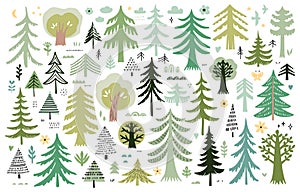 Set of tree and pine trees in scandinavian style. Collection of forest elements