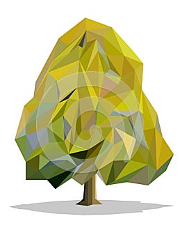 Set tree polygon vector icon