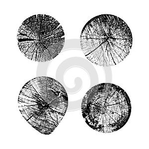 Set of tree rings background. For your design conceptual graphics. Vector illustration. Isolated on white background