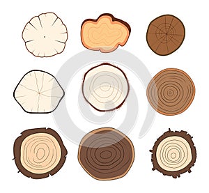 Set of tree rings, wood cross-section with different textures. Detailed tree rings for ecology concept. Nature and