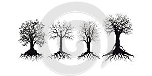 Set of tree roots silhouette. Vector illustration design