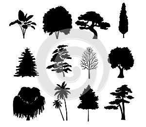 Set Tree silhouette isolated on white. Vector Collection of coniferous trees, tropical, palm trees and bare wood