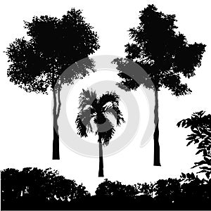 Set of tree silhouette vector