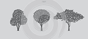 Set of tree silhouettes isolated on white background.