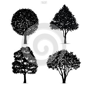 Set of tree silhouettes isolated on white background.
